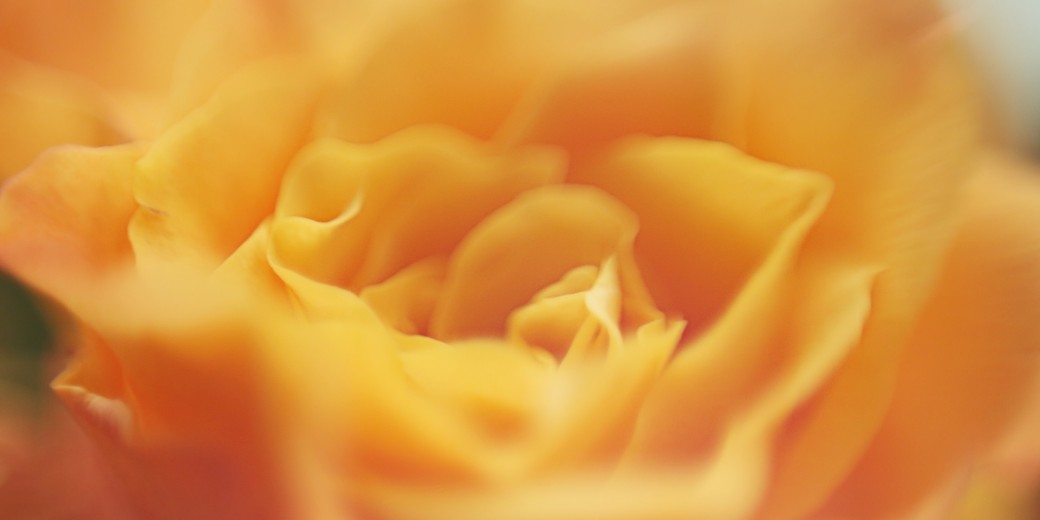 flower resize